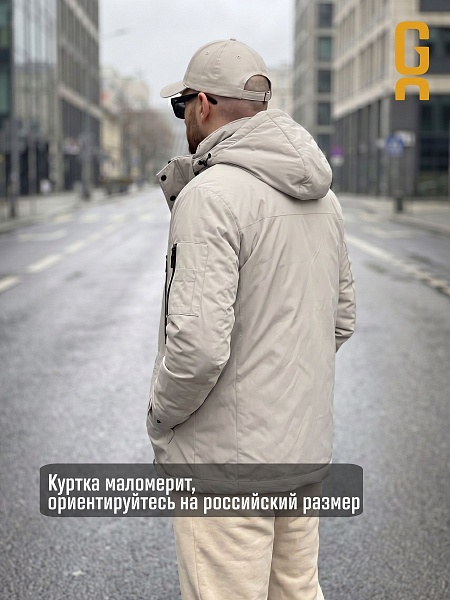 Куртка мужская демисезонная GRIZMAN, серо-бежевая, модель 74786