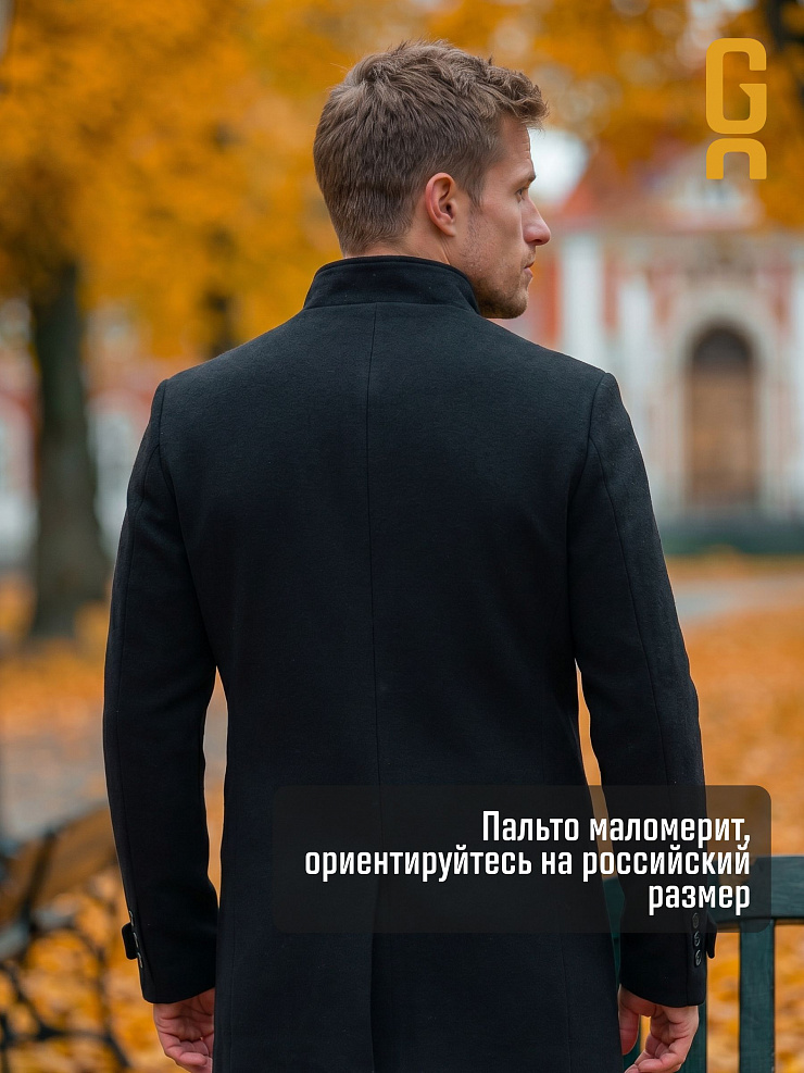 Пальто мужское осеннее GRIZMAN, черное, модель 74758
