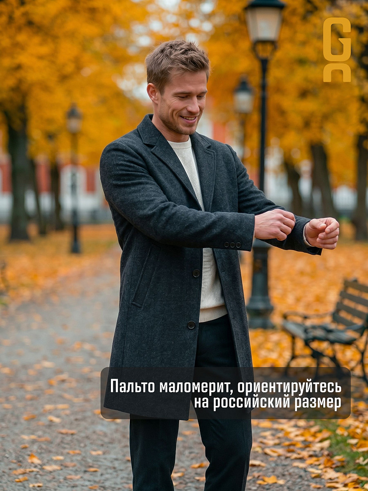 Пальто мужское осеннее GRIZMAN, черно-серое, модель 74579