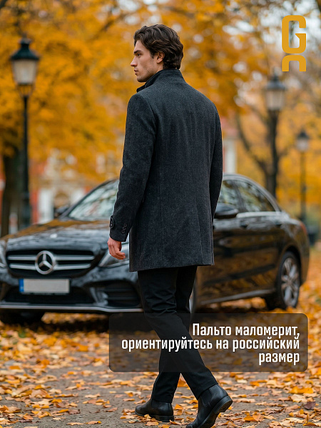 Пальто мужское осеннее GRIZMAN, черно-серое, модель 74758